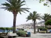 Banyuls-сюр-Мер - Прогулка по пляжу, украшенная скамейками и пальмами