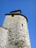 Bar-le-Duc - Clock Tower, overblijfsel van het oude hertogelijk kasteel