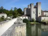Barbaste Mill - 在Gélise河上的老罗马式桥梁和位于水边的Henry IV（塔楼的磨坊）的强化工厂;在Pays d'Albret