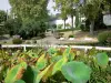 Barbotan-les-Thermes - Spa (op de stad Cazaubon): waterplanten van de thermische park
