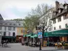 Barcelonnette - Houses, trees, lampposts and café terraces of the Manuel square