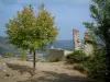 Bargème - Arbres, arbustes, maison en pierre du village avec vue sur les collines (Parc Naturel Régional du Verdon)