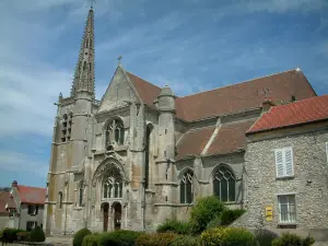 Baron church - Shrubs, church and houses of the village