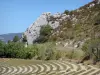 Baronnies Provençales Regional Nature Park - Rock face overlooking a field