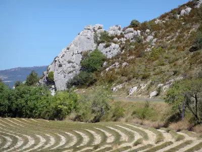 Baronnies Provençales Regional Nature Park