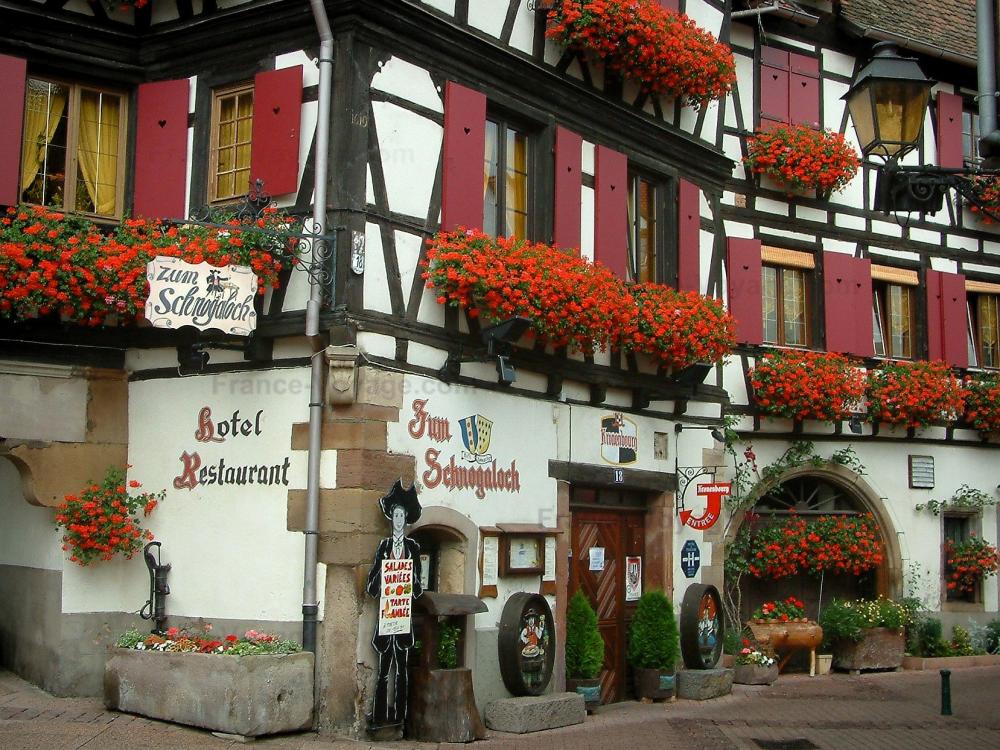 Guide du Bas-Rhin - Obernai - Maison blanche à colombages ornée de fleurs (géraniums)