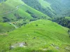 Baskenland-Landschaften - Grünende Hänge der Anhöhen der Soule