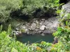 Bassin Bœuf - Bassin de la rivière Sainte-Suzanne entouré de verdure