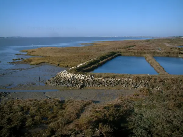 Le bassin de Marennes-Oléron - Guide tourisme, vacances & week-end en Charente-Maritime