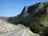Battle Pass Road - Региональный природный парк Веркор: дорога обсажена деревьями и горами