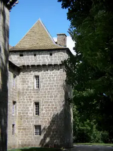 La Baume castle - Detail of the facade of the castle; in the town of Prinsuéjols