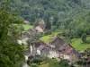 Baume-les-Messieurs - Village case, prati e alberi