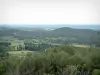 Les Baux-de-Provence - Het dorp, met uitzicht op de omliggende bossen