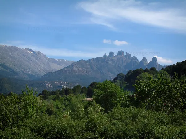 Bavella Massif - Agulhas de floresta e granito (montanha com cristas cortadas) de Bavella