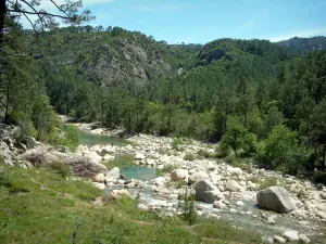 Bavella Massif - Floresta de pinheiros com um rio e rochas