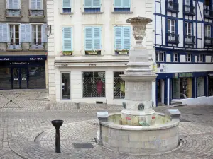 Bayonne - Façades et fontaine de la place Louis Pasteur