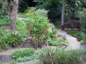 Bayonne - Végétaux du jardin botanique