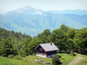 Béarn的风景 - 在与树木的多山环境中的小木屋