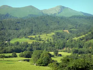 Béarn的风景 - 翠绿的翠绿山谷