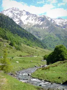 Béarn的风景 - 比利牛斯国家公园：Brousset，绿色银行和比利牛斯山脉