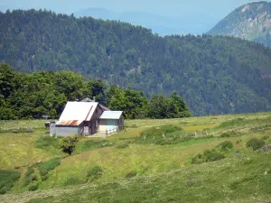 Béarn的风景 - 房子有山景