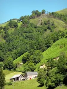 Béarn的风景 - 一个绿色设置的石房子
