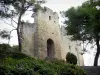 Beaucaire - Restos do castelo