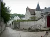 Beaugency - Rue pavée et maisons de la vieille ville