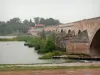 Beaugency - Pont sur la Loire (fleuve), végétation et rives (val de Loire)