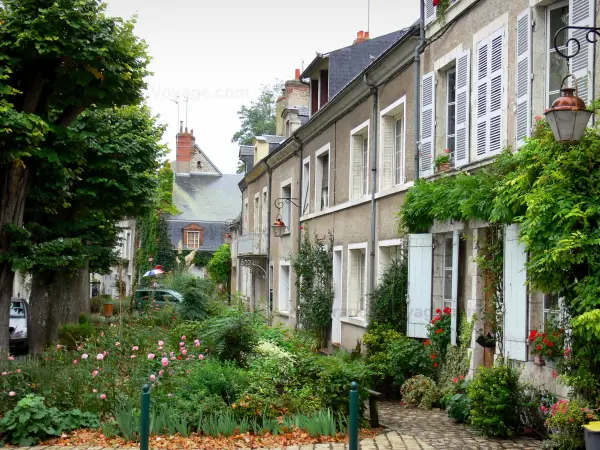 Beaugency - Huizen, bloemen, planten, rozen (rozen) en bomen