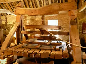 Beaune - Prensa na sala das cubas do Museu do Vinho