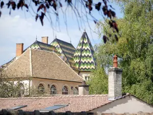 Beaune - Vista do telhado de telhas vitrificadas do Château de Beaune