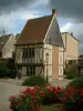 Beauvais - Rosiers, allée, arbustes, maison François Ier et nuages dans le ciel