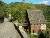 Belcastel - Ruelle pavée fleurie