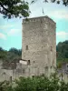 Belcastel - Donjon carré du château de Belcastel