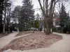 Belley - Parc du palais épiscopal agrémenté d'arbres ; dans le Bas-Bugey