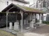 Belley - Vestiges dans le parc du palais épiscopal et chevet de la cathédrale Saint-Jean-Baptiste