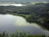 Belvédère des 4 lacs - Du belvédère, vue sur les lacs en contrebas, la forêt et les champs