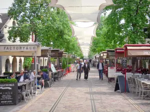 Bercy Village - Saint Emilion courtyard with trees and restaurant terraces