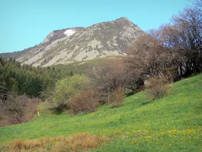 Berg Mézenc