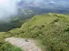 Berg Pelée - Uitzicht op de hellingen van de vulkaan en de omliggende groene landschap van het parcours Spoiler