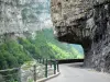 Bergengte van de Bourne - Regionale Natuurpark van de Vercors rotsen en overhangende weg (rotswanden) met uitzicht op de Bourne