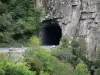 Bergengte van Chouvigny - Gorges Sioule: tunnel, weg en bomen kloven