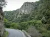 Bergengte van Chouvigny - Gorges Sioule: weg kloven, bomen en rotswanden (kliffen)
