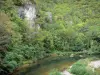 Bergengte van Dourbie - Dourbie rivier omzoomd met bomen, in het Regionaal Natuurpark van de Causses