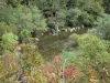 Bergengte van Dourbie - Bomen langs de rivier Dourbie, in het Regionaal Natuurpark van de Causses