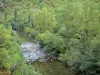 Bergengte van Dourbie - Bomen langs de rivier Dourbie, in het Regionaal Natuurpark van de Causses