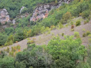 Bergengte van Dourbie - Rotswanden en bomen in het Parc Naturel Regional des Grands Causses