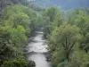 Bergengte van de Orb - Orb rivier omzoomd met bomen, in het Regionale Natuurpark van de Haut Languedoc