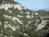 Bergengte van Sainte-Beaume